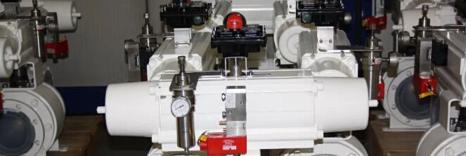 為什么OMAL這么受市場歡迎，熱銷背后的“密碼”破解！